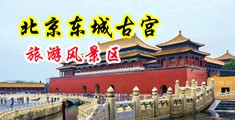 操大骚屄中国北京-东城古宫旅游风景区